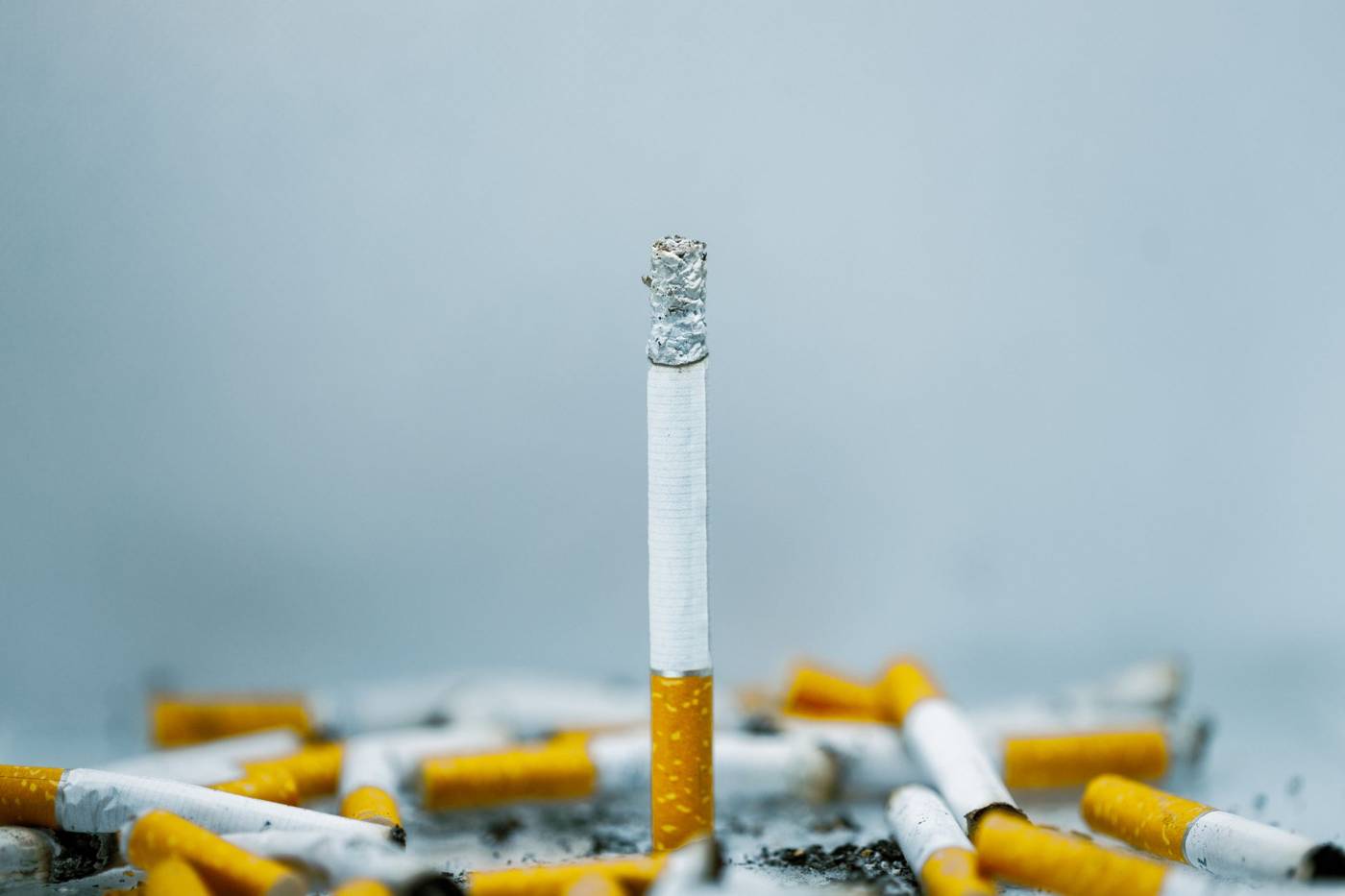 Philip Morris International trades at $178.69 after a 3.27% gain, with a 3.29% dividend yield and a smoke-free growth story…